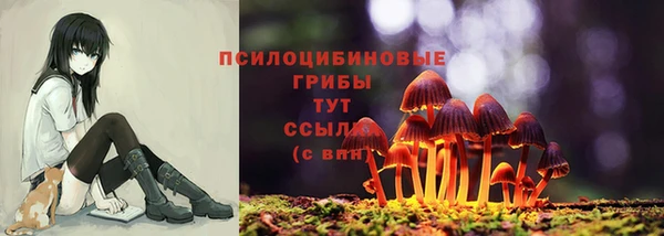 PSILOCYBIN Бугульма